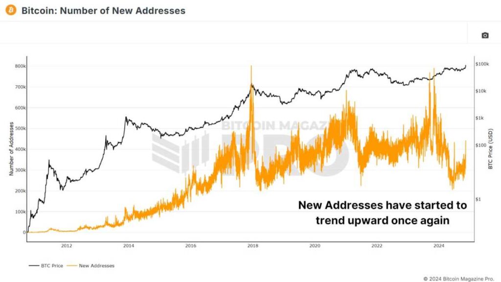 Are Retail Investors Behind The Bitcoin Price Surge This Bull Run?