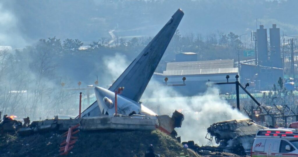 South Korea’s worst-ever plane crash highlights dangers of bird strikes | Aviation News