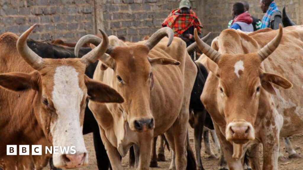 Why Bill Gates is being dragged into a row over vaccinating cows in Kenya