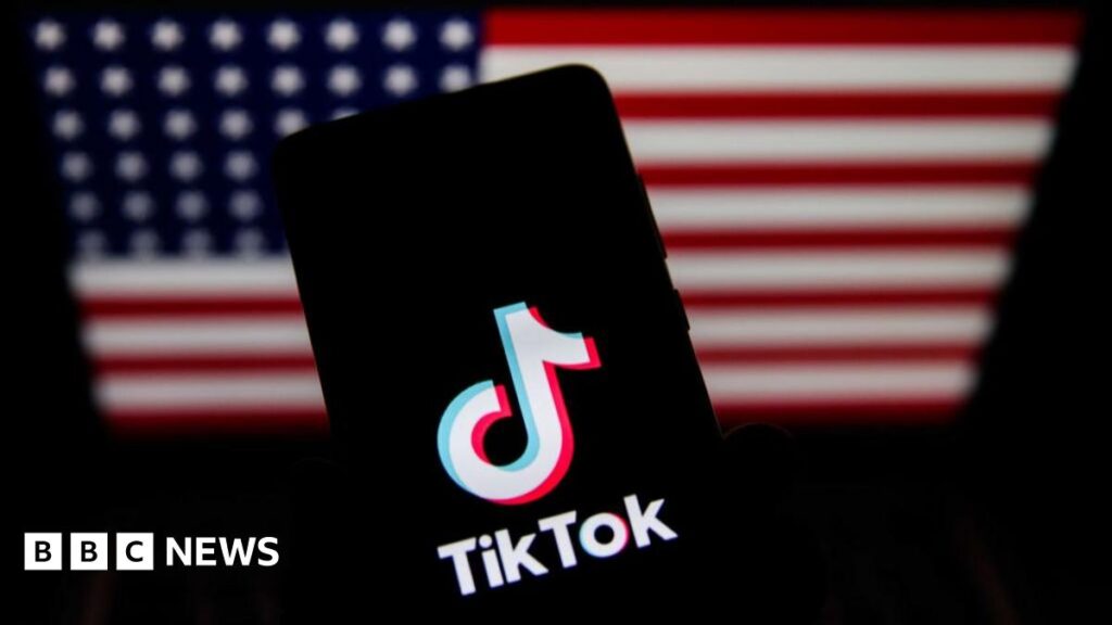 TikTok says it will ‘go dark’ if US government does not intervene