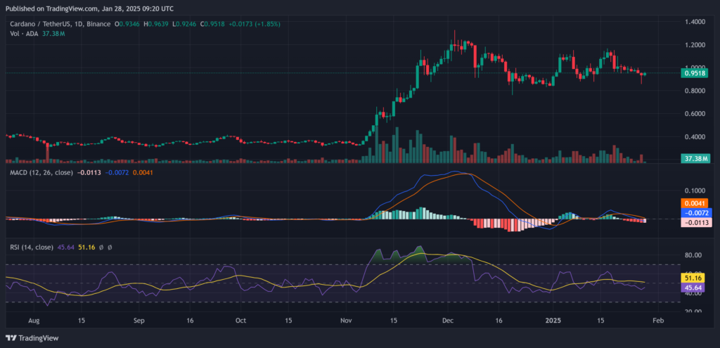 Cardano (ADA) Eyes $1 Again, Analyst Says No Need to Panic