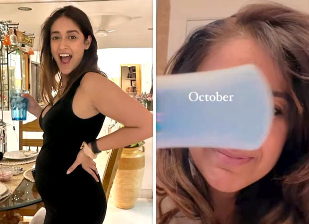 Ileana D’Cruz hints at second baby on the way in her 2024 roundup video; leaves fans in surprise 2024 : Bollywood News