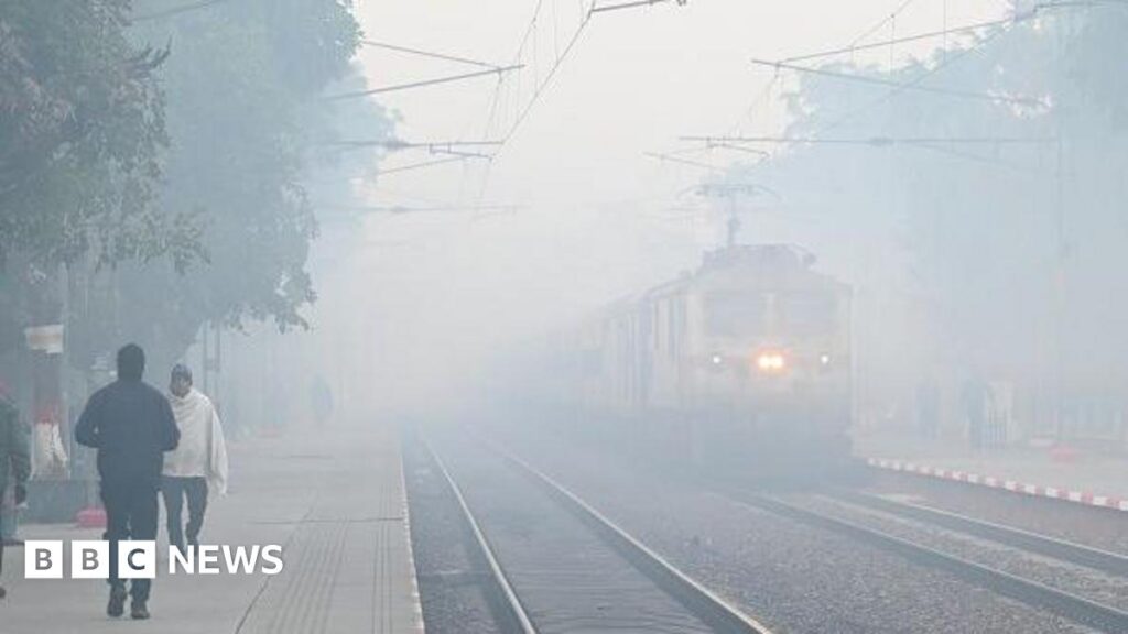 Delhi: Smog causes travel chaos in Indian capital