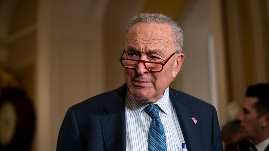 Schumer knocks Trump's 'idle speculation' on DC plane crash: 'It just turns your stomach'