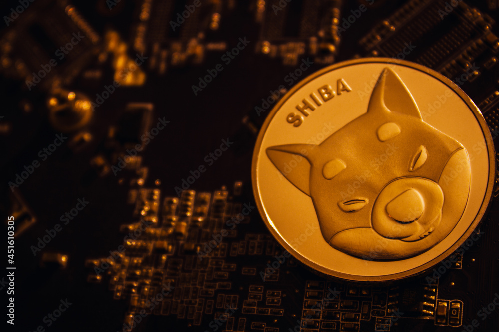 Shiba Inu Millionaire Numbers Fall Below 1,000 After Market Crash, How Much Do They Control?