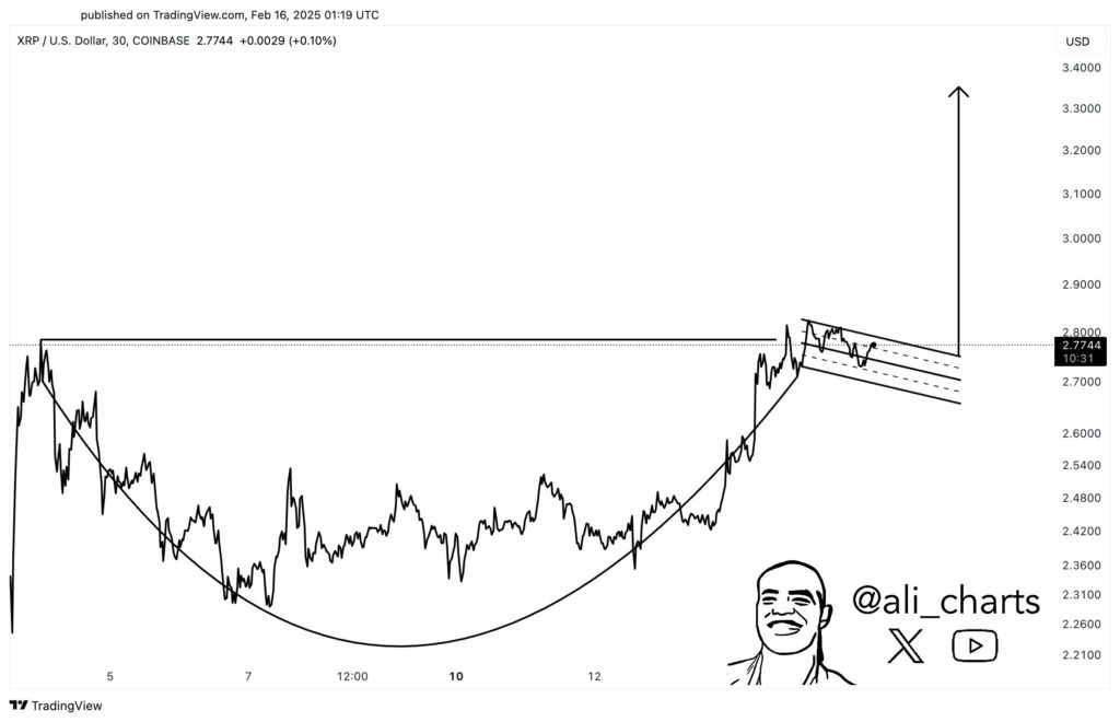 Will XRP Price Price Recover Past $3 Soon as Elon Musk’s DOGE Targets SEC