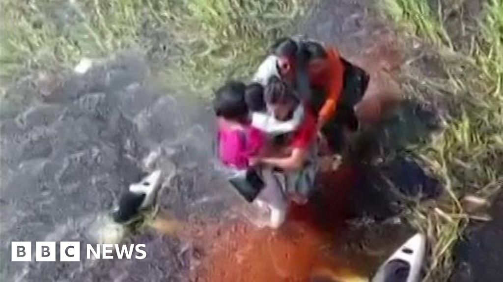 Five people survive 36 hours in alligator-infested swamp after plane crash