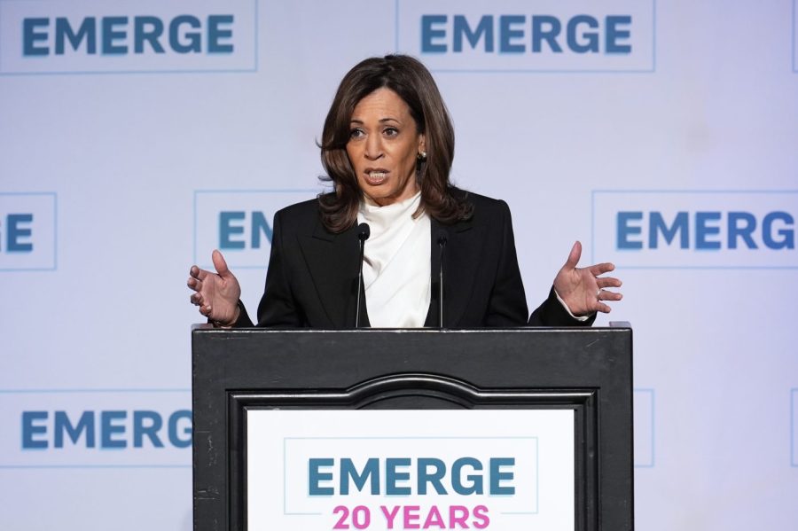 Harris accuses Trump administration of ‘wholesale abandonment’ of ‘America’s highest ideals’ 