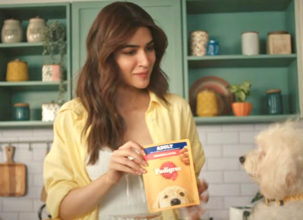 Kriti Sanon stars in Pedigree’s wet food campaign for dogs : Bollywood News