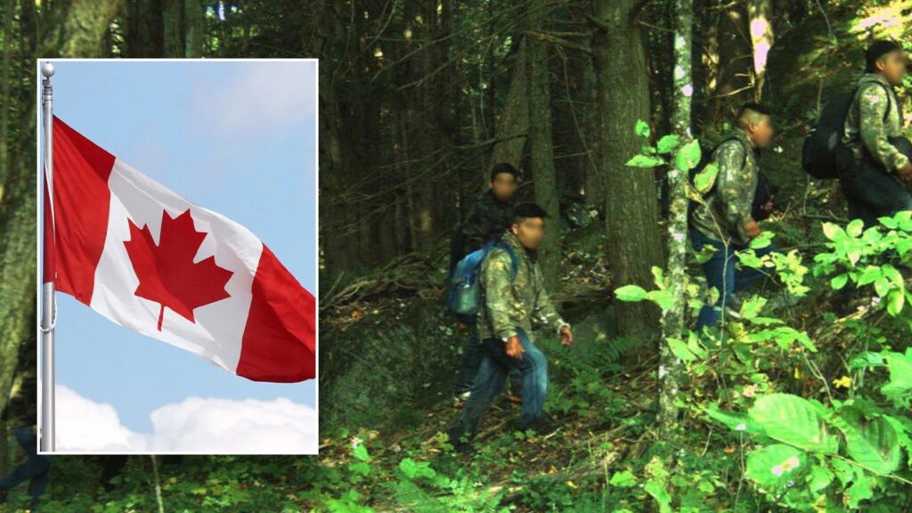 Illegal immigrants accused of smuggling aliens from Canada into U.S.