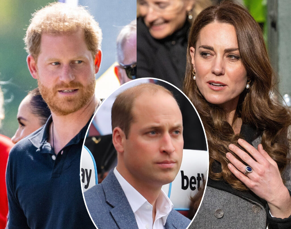 Charity Donor Caught Selling Access To Prince William & Princess Catherine – And She’s Connected To Harry, Too!