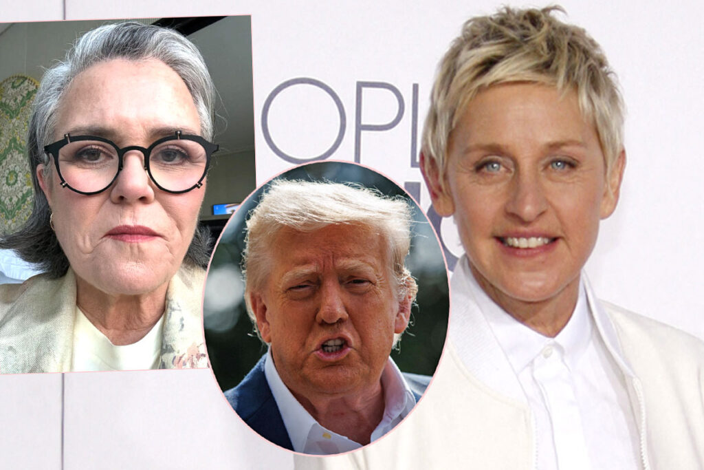 Ellen DeGeneres Backs Up Rosie O’Donnell After Donald Trump Threatens To Revoke Her Citizenship!