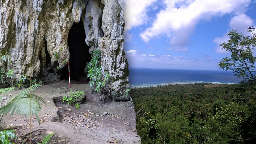 Prehistoric rice phytoliths discovered at Ritidian Site in northern Guam